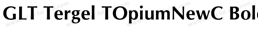 GLT Tergel TOpiumNewC Bold Italicig字体转换